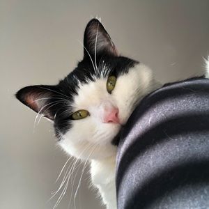 Meet your Posher, Bryanna